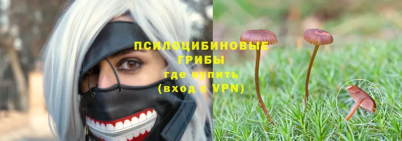 Галлюциногенные грибы Magic Shrooms  blacksprut ONION  Полярные Зори 